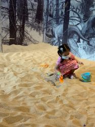 -恐龙探索乐园(磁器口店)