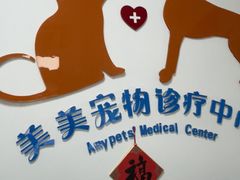 -美美宠物诊疗中心·异宠·骨科(滨江东信分院)