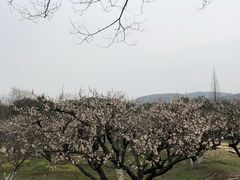 -白马涧龙池景区