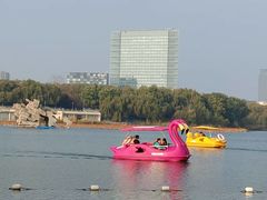 -大兴滨河森林公园