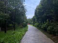 -灞河西岸滨河公园