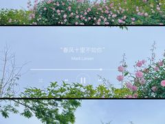 -鹅湖玫瑰文化园