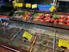 -辉记炭烧海鲜大排档·老字号(福田店)