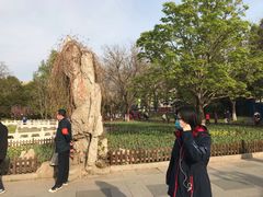 -丰台花园