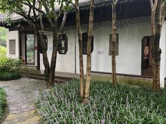 -秋霞圃