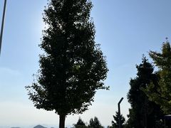 -长沙黑麋峰国家森林公园