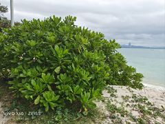 -三亚蜈支洲岛旅游区