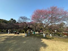 -杭州植物园