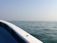 -西涌国际滨海旅游区