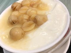 -义顺牛奶公司(庇利金街店)