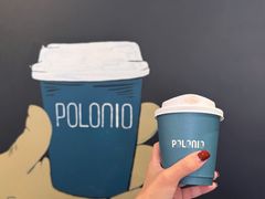 -polonio