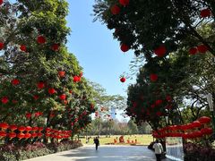 -荔香公园