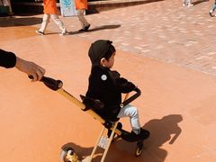 -大连海昌发现王国主题公园