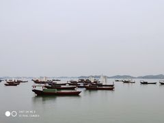 -鄱阳湖国家湿地公园