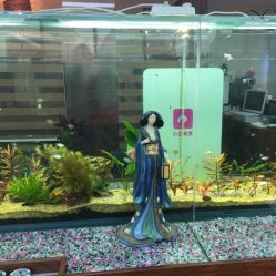 小左美发(南京东路店)-小左美发