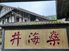 -燊海井