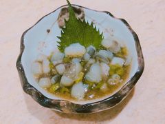 芥末章鱼-东京屋(武定路店)