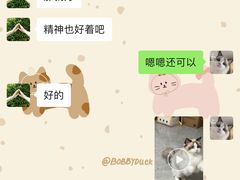 -米苏动物医院·犬猫专科·骨科外科内窥镜