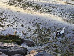 -滴水湖
