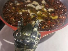 -雲蜀龙阁·金牌水煮鱼(方庄店)