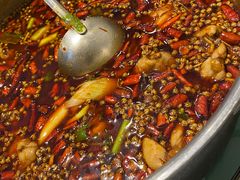 -蛙两只美蛙鱼头火锅(恒茂店)