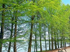 -上海海湾国家森林公园