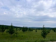 -御道口草原森林风景区