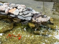 -红螺寺