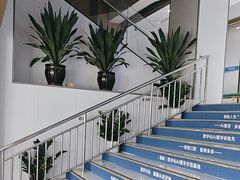 -美可普口腔医院(东街分店)