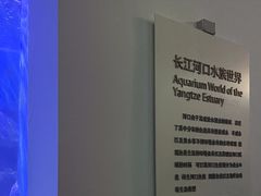 -上海长江河口科技馆