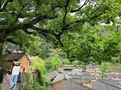 -杨家堂村