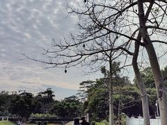 -广东金融学院(校本部)