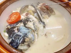 -全乐鱼馆·淳牌有机鱼直营店