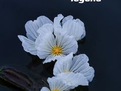 -丽江泸沽湖景区