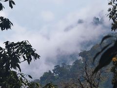 -云南屏边大围山国家公园