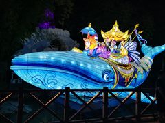 -海合安武汉极地海洋公园