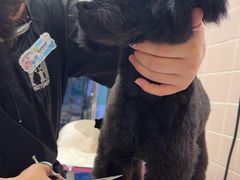 -FAELING PETS美天灵宠物(富力广场店)