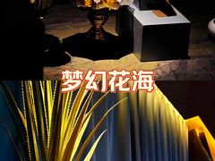 -索拉古贝(义乌北苑店)