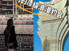 -澳门威尼斯人综合度假区