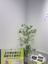 -凡碧诗毛孔清洁收细