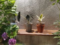 -About Bistro關於·泰式家庭料理