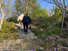 -乌山风景区