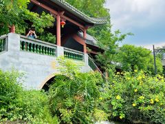 -广州神农草堂中医药博物馆