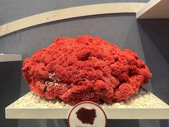 -中国湿地博物馆