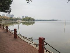 -艾溪湖湿地公园