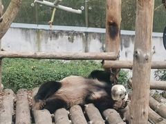 -黔灵山公园