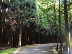 -山王坪喀斯特国家生态公园
