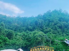 -西双版纳原始森林公园