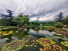 -国家植物园南园