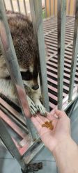 -Moni星球萌宠·小马宝莉·灵蛇·高端高阶全萌宠互动体验俱乐部(红豆国际广场店)